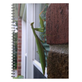 Bidden Mantis op bakstenen muur Notitieboek