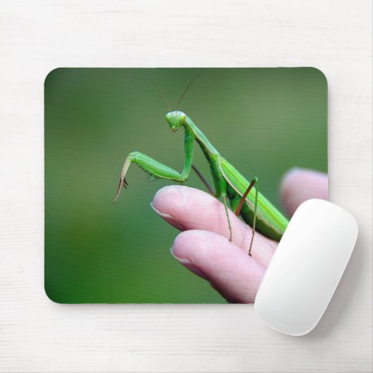 Bidden Mantis op een hand Muismat (Met muis)