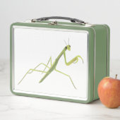 Bidden Mantis op witte achtergrond lunchdozen (In situ)