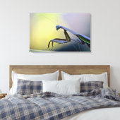 Bidden Mantis verpakt Canvas (Insitu (Slaapkamer))