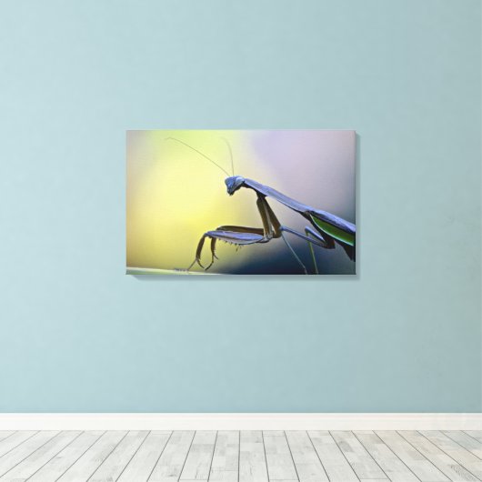 Bidden Mantis verpakt Canvas (Insitu (Houten vloer))