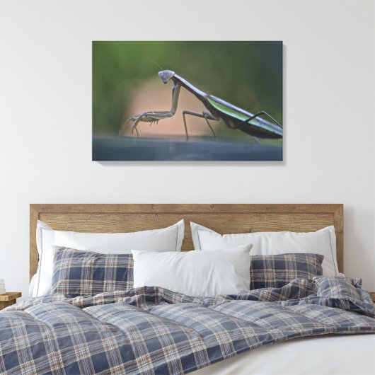 Bidden Mantis verpakt Canvas (Insitu (Slaapkamer))