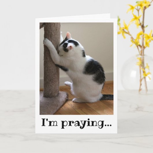 Bidden met een zwarte en witte kat kaart (Gele Bloem)