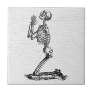 Biddend Skelet - Vintage Anatomische Kunst Tegeltje