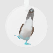 Biddy aux pieds bleus (dos)