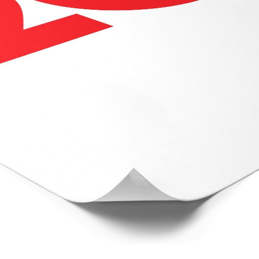 BIDEN HARRIS 2020 POSTER (Hoek)