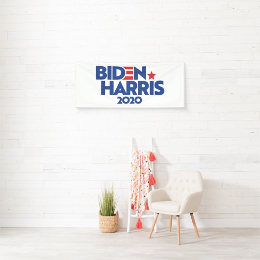 BIDEN HARRIS 2020 SPANDOEK (Insitu)