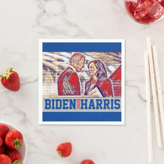 Biden Harris Together 2020 Servet (Insitu)