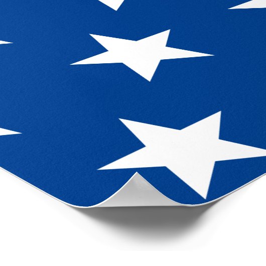 Biden / Harris White Stars Pattern Blue Poster (Hoek)