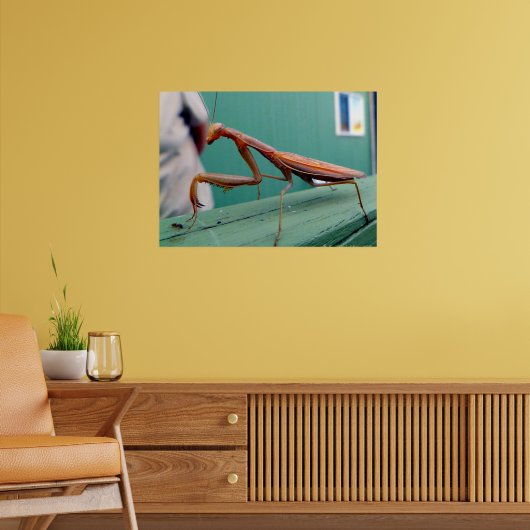 Bidsprinkhaan & mier poster (Woonkamer 2)