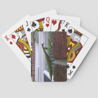 Bidsprinkhaan op bakstenen muur pokerkaarten
