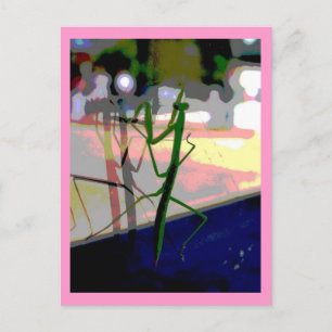 Bidsprinkhanen Briefkaart