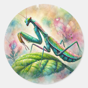 Bidsprinkhanen op Waterverf Ronde Sticker