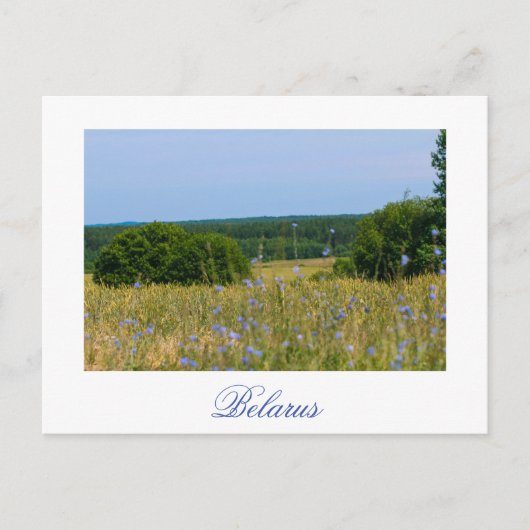 Biélorussie Paysage rural Campagne Carte postale (Devant)