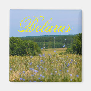 Biélorussie Paysage rural Nature Paysage Magnet