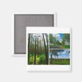 Biélorussie Salutations Nature Forêt Magnet (Recto/Verso)