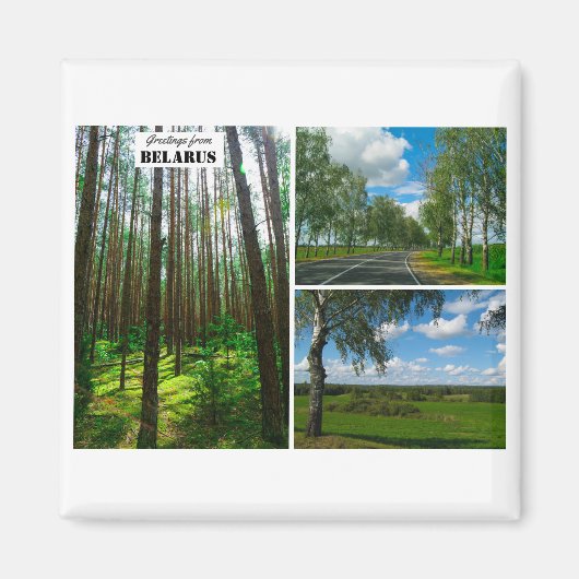 Biélorussie Salutations Nature Forêt Magnet (Devant)