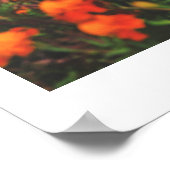 Biélorussie Salutations Poster d'architecture natu (Coin)