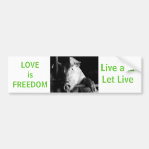 Bien-Être des animaux Piggy Vegan Voiture Sticker