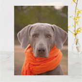 BIENTÔT BIENTÔT LES Cartes DE Voeux (Fleur jaune)