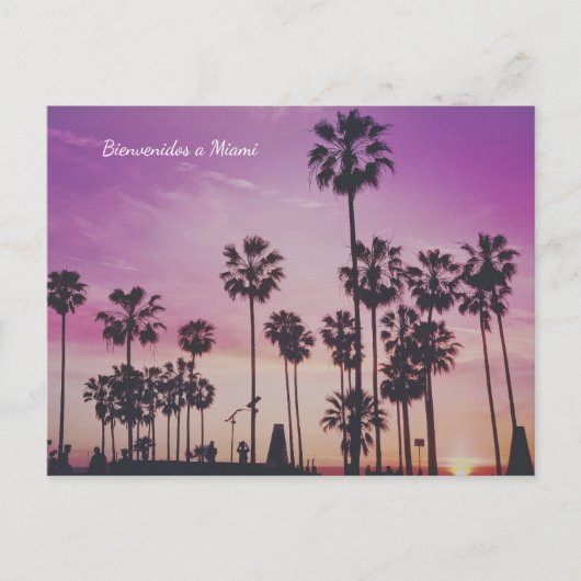 Bienvenue à Miami Palmiers Carte postale (Devant)