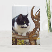 BIENVENUE CARTE D'ACCUEIL (Dos)