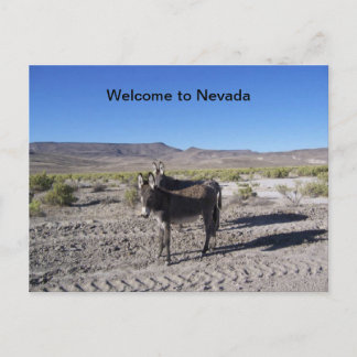 Bienvenue dans la carte postale Nevada avec 2 burr