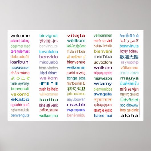 Bienvenue en 80 langues Poster (Devant)