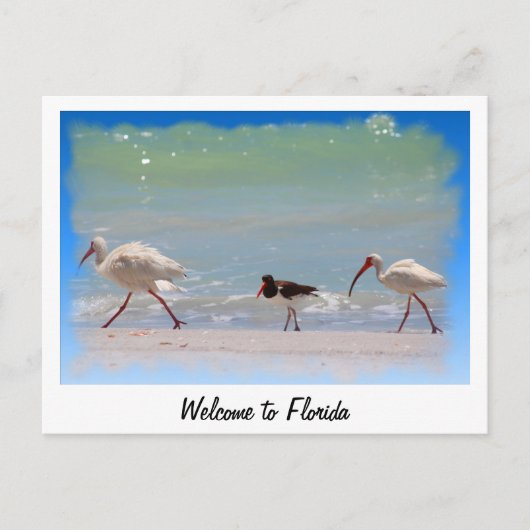 Bienvenue en Floride carte postale vacances d'été (Devant)
