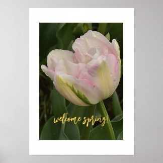 Bienvenue Printemps ! Poster d'impression de texte