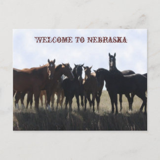Bienvenue Sur La Carte Postale Nebraska