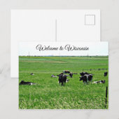 Bienvenue Wisconsin Cows in Field Carte postale (Devant / Derrière)