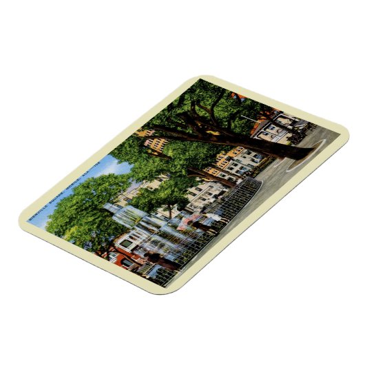 Bienville Sq., Mobile, AL Magneet (Linkerzijde)