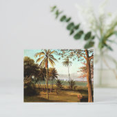 Bierstadt - Florida Scene Briefkaart (Staand voorkant)