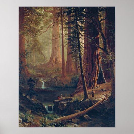 Bierstadt Redwood Trees schilderen Poster (Voorkant)