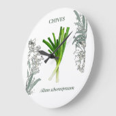 Bieslook — Allium schoenoprasum Grote Klok (Hoek)