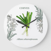 Bieslook — Allium schoenoprasum Grote Klok (Voorkant)