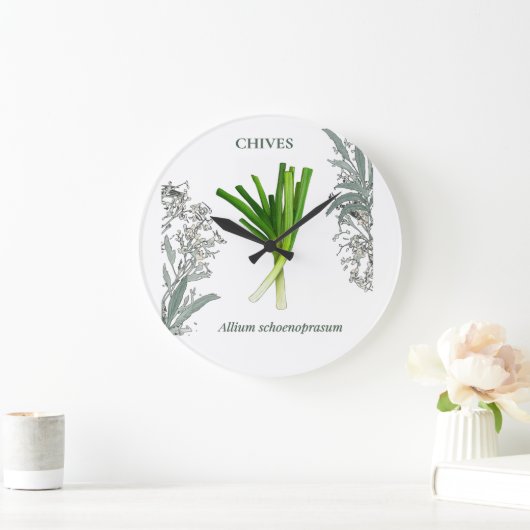 Bieslook — Allium schoenoprasum Grote Klok (Huis)