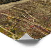 Bieszczady-gebergte Poster (Hoek)