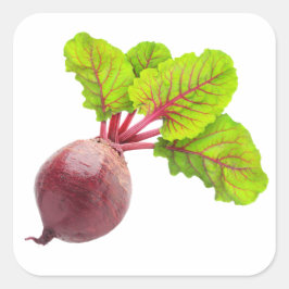 Biet met grote bladeren vierkante sticker