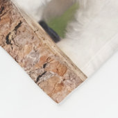 Biewer Terrier Blanket Fleece Deken (Hoek)