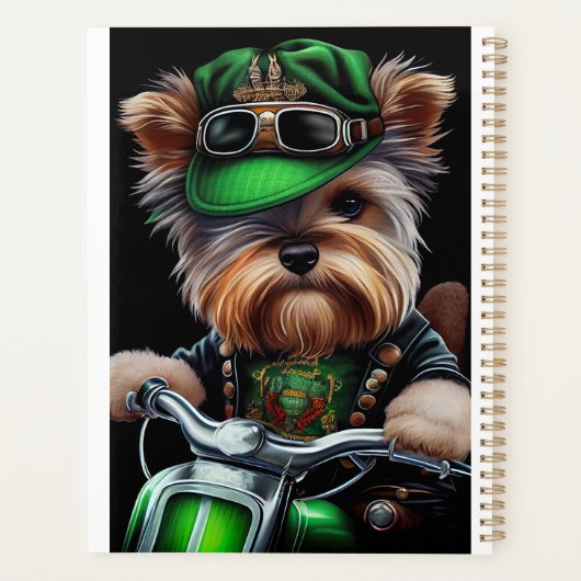Biewer Terrier Chien Conduite Vélo St. Patrick's D (Dos)