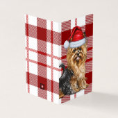 Biewer Terrier Chien de vacances Rouge Plaid Noël (Outside)