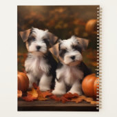 Biewer Terrier Chiot Automne Citrouille délice (Dos)