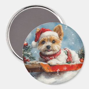Biewer Terrier-hond in slee Laat het sneeuwen Kers Magneet