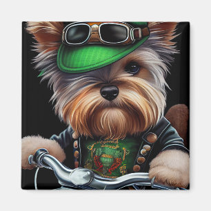 Biewer Terrier-hond rijdt op fiets St. Patrick's D Magneet