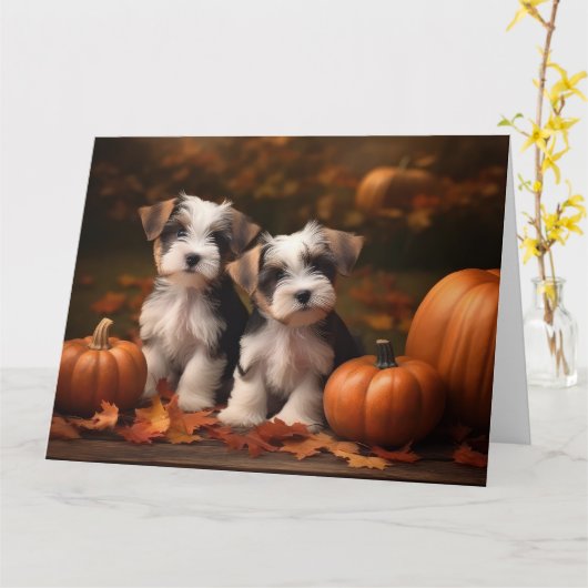 Biewer Terrier Puppy Herfst Delight Pompoen Kaart (Gele Bloem)