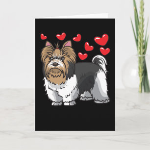 Biewer Yorkshire Terrier Honden Kaart