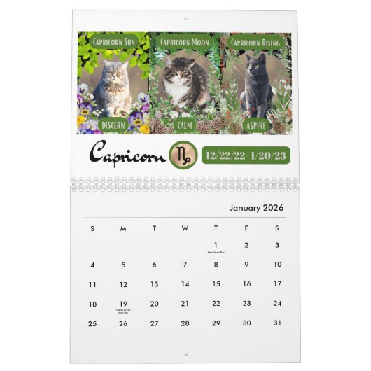 Big 3 Signs as Cats in the Garden 2023 Calendrier (Jan 2026)