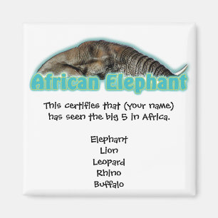 Big 5 Afrika wildlife safari magneten